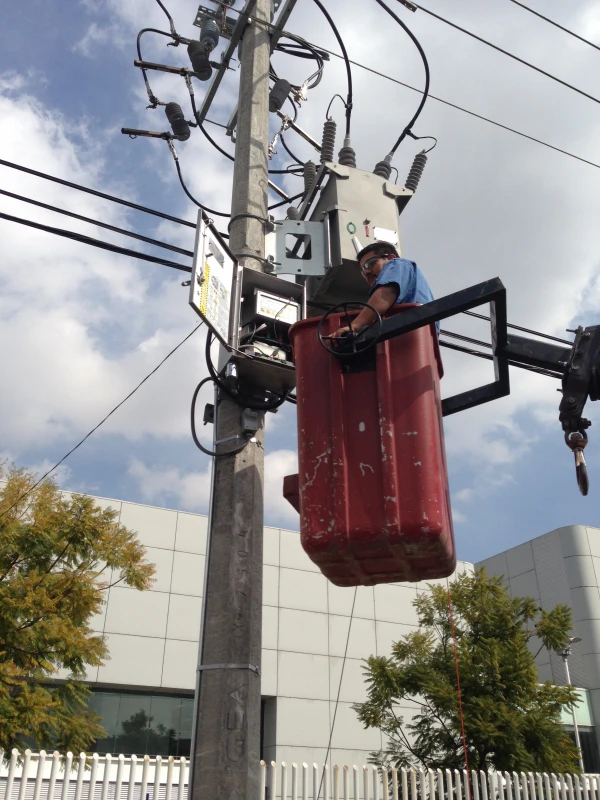 Seccionadores y restauradores